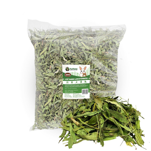 ProHerbs Liść babki lancetowatej 300g-odporność, trawienie i piękna sierść!