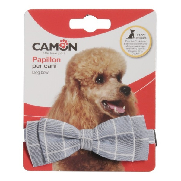 CAMON MUCHA DLA PSA W KRATKĘ
