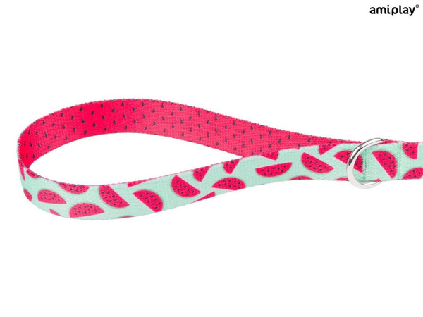 amiplay Smycz BeHappy dla Psa S 150cm Watermelon