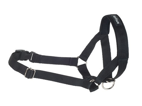 amiplay Halter Akcesoria XS (N1) Yorkshire Terrier 10-18x19-25x1,5cm