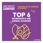 Schesir Born Carnivore karma sucha dla kotów kurczak i śledź 255 g