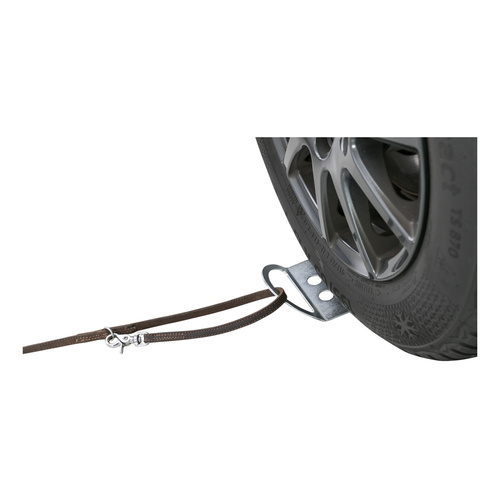 Trixie Płyta najazdowa z uchwytem na smycz, dla psa, stal nierdzewna, 12 x 31 cm