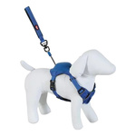 ZOLUX Szelki dla psa ze smyczą automatyczną Easyride XS niebieskie