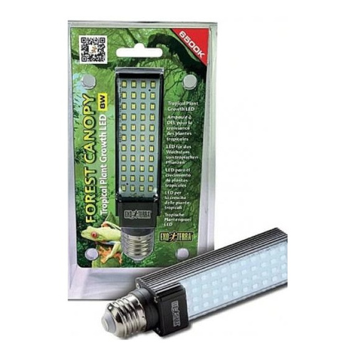 Eao Terra Żarówka Forest Canopy LED 6500K 8W