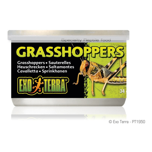 Eao Terra Pokarm w puszce - konik polny 34g