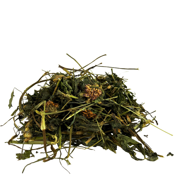 ProHerbs Ziele koniczyny 130g - moczowy, trawienie i krążenie w równowadze!