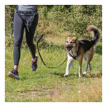 Trixie PAS BIODROWY ze SMYCZĄ do biegania z Psem 70-120cm