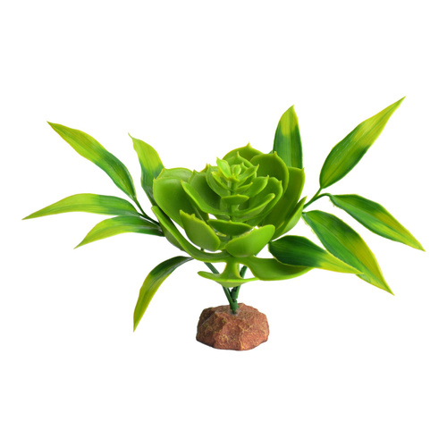 Terra Natura Dekoracja terrarystyczna  roślina pustynna na podstawce średnia 20cm
