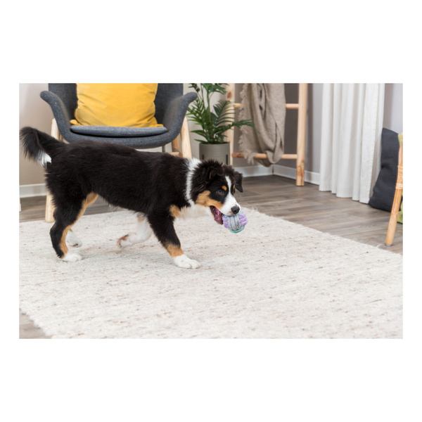 Trixie zabawka PIŁKA ze Sznurka dla Psa 9cm