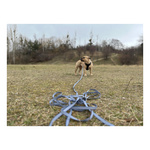 ZOLUX Pas samochodowy dla psa do szelek CLIP and GO XS/S