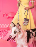 amiplay Torebka na przysmaki BeHappy Flamingo