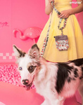 amiplay Torebka na przysmaki BeHappy Flamingo