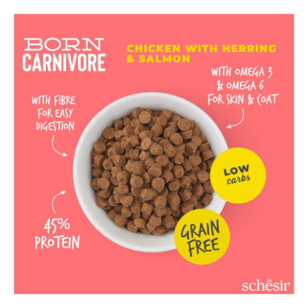 Schesir Born Carnivore karma sucha dla kotów kurczak i śledź 255 g