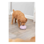 Trixie Mini gryzak okrągły z lateksu 8cm
