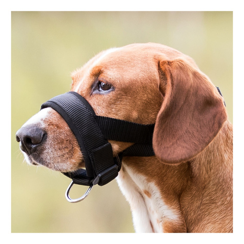 Trixie KAGANIEC nylonowy UZDOWY dla psa L