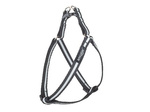 amiplay SZELKI regulowane Shine Odblaskowe XL 50-95/2,5cm Czarny