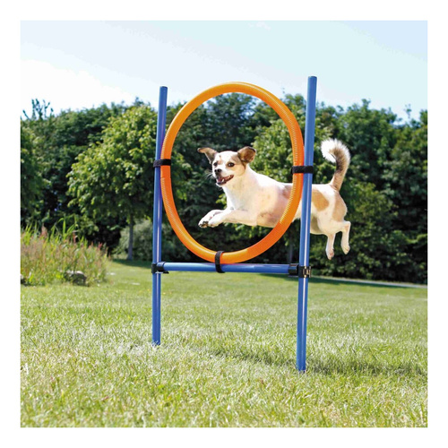 Trixie KOŁO zręcznościowe zabawka Treningowa 78x115cm