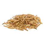 Trixie suszone Larwy Mącznika dla gryzoni 200g