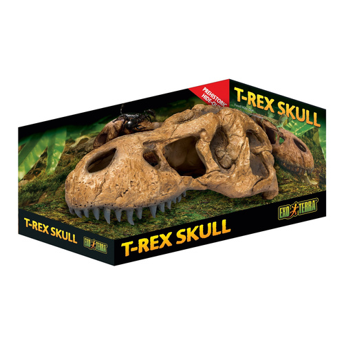 Eao Terra Kryjówka Czaszka tyranozaura 22 x 8 x 9.5 cm