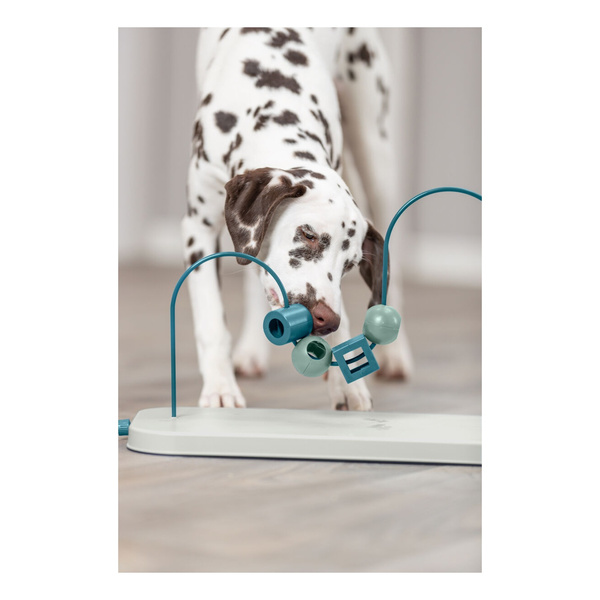 Trixie Dog Activity Skills Loop, zabawka edukacyjna, dla psa, plasik/metal, 43 cm