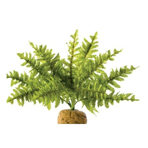 Eao Terra Roślina sztuczna - Paproć Boston Fern S