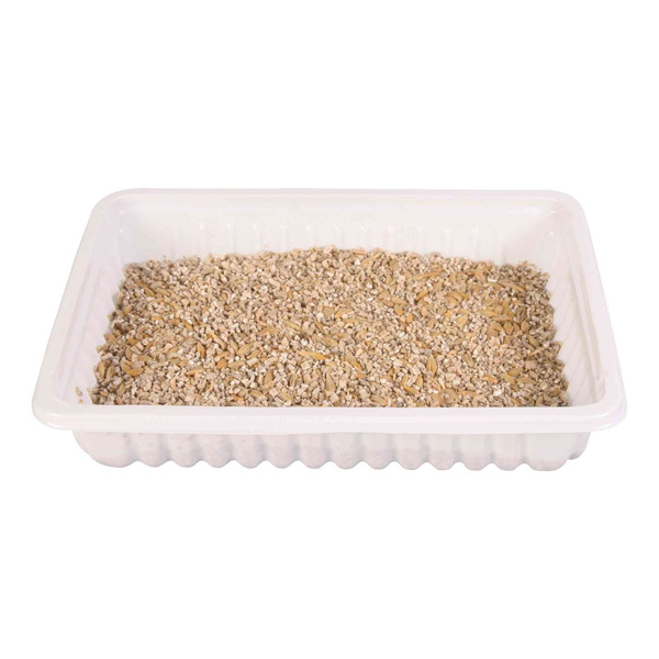 Trixie Kocia TRAWA w Foremce dla KOTA Trawka 100g