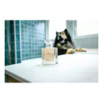 FRANCODEX Perfumy dla psa, bez alkoholu Charmant drzewne 50 ml