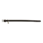 Trixie Rustic obroża, dla psa, ciemnobrązowa, XS-S: 27-34 cm/18 mm, z grubej skóry