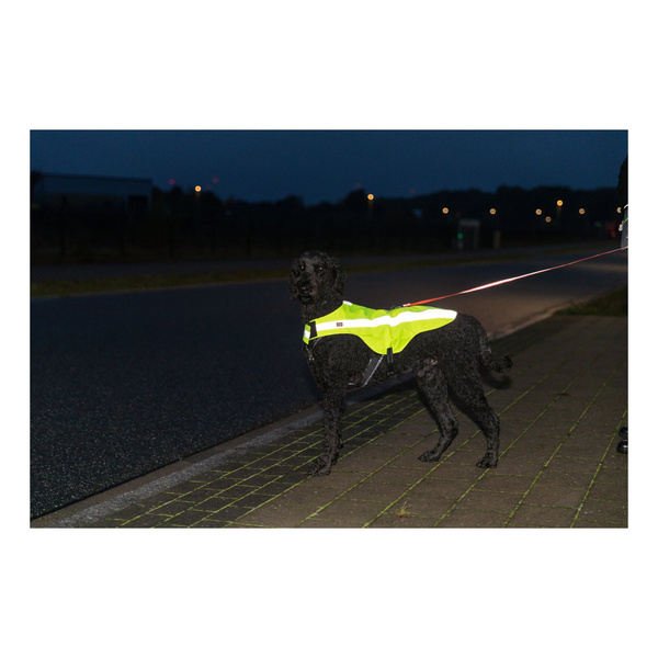 Trixie Kamizelka odblaskowa wodoodporna dla psa L 60cm
