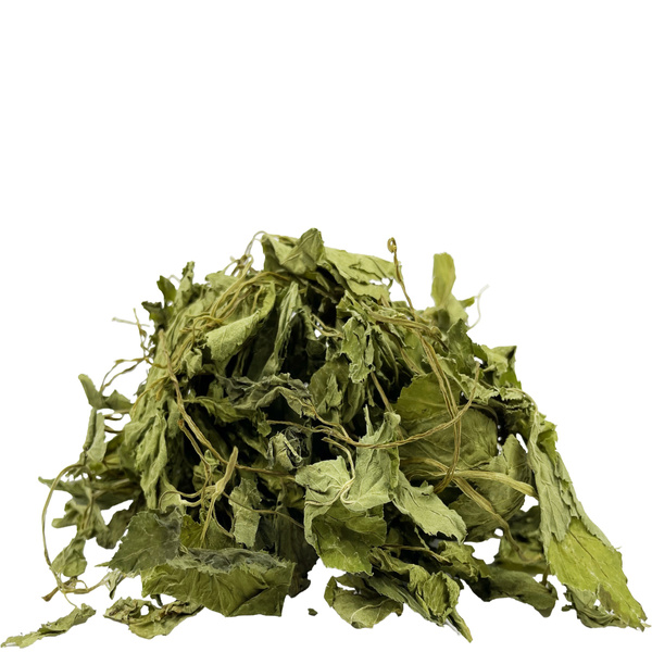 ProHerbs Ziele podagrycznika 100g- oczyszczenie, trawienie, stawy, energia!