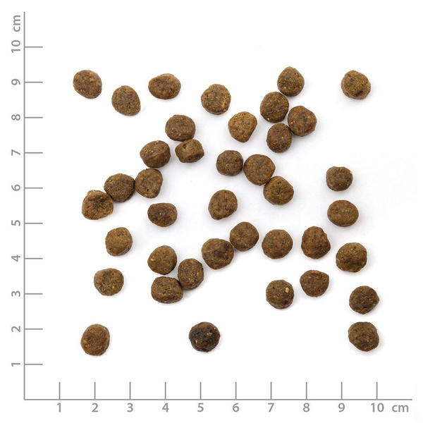WILDES LAND CAT Junior Huhn - kurczak z warzywami i ziołami dla kociąt (1,2kg)