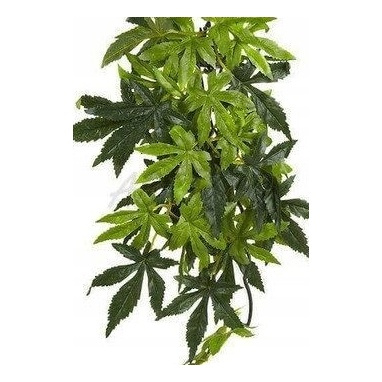 Eao Terra Roślina sztuczna - Silk Abuliton M