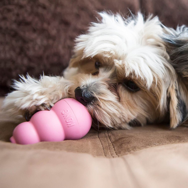 KONG PUPPY KONG M
