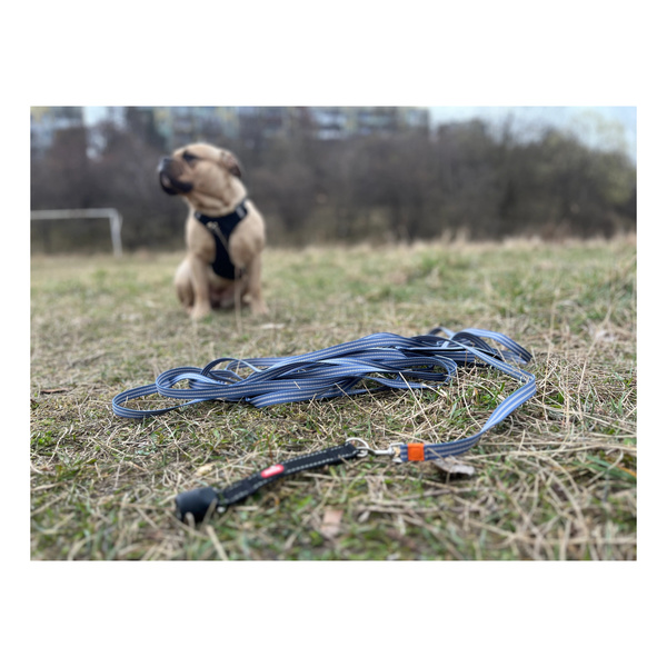 ZOLUX Zestaw szelki + smycz dla psa CLIP and GO L czarny