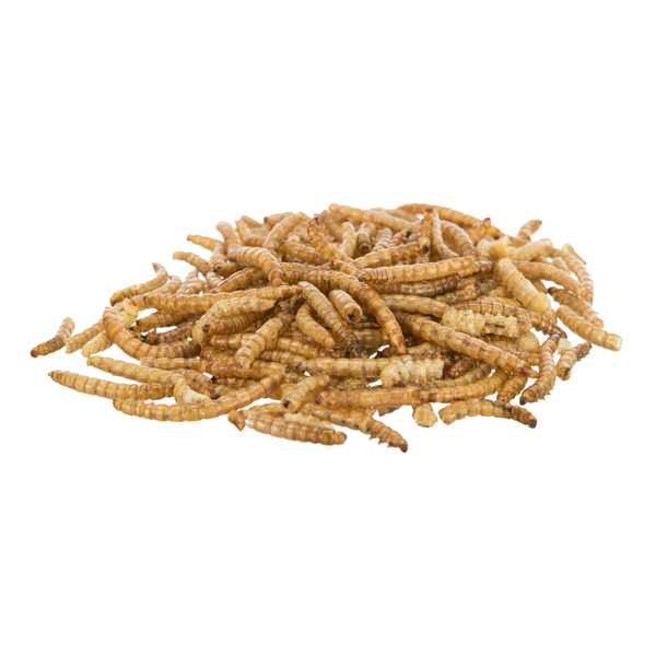Trixie suszone Larwy Mącznika dla gryzoni 200g