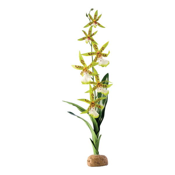 Eao Terra Roślina sztuczna - Orchidea Spider Orchid