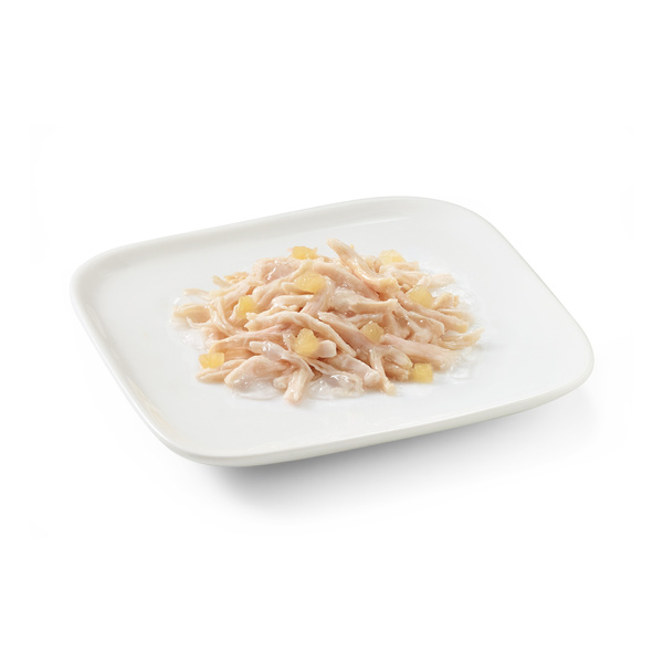 Schesir Karma mokra dla psa kurczak z jabłkiem w galarecie 150 g