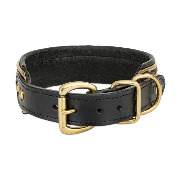 Barry King Obroża skórzana, 37-44 cm/34 mm, pantera