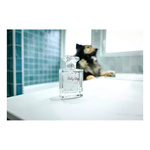 FRANCODEX Perfumy dla szczeniąt, bez alkoholu Baby Dog 50 ml