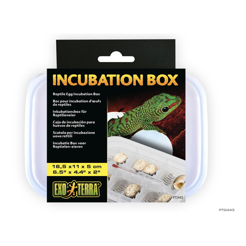 Eao Terra Box Inkubacyjny 165 x 11 x 5cm