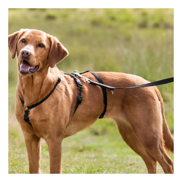 Trixie Szelki Panic Stay potrójne S-M dla Psa 40-65cm