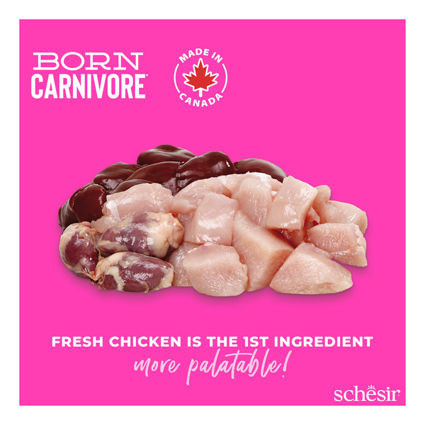 Schesir Born Carnivore karma sucha dla kociąt kurczak z jajkiem 255 g