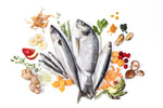 YDOLO Wild Fish - ryby morskie - karma półwilgotna dla psa (100g)