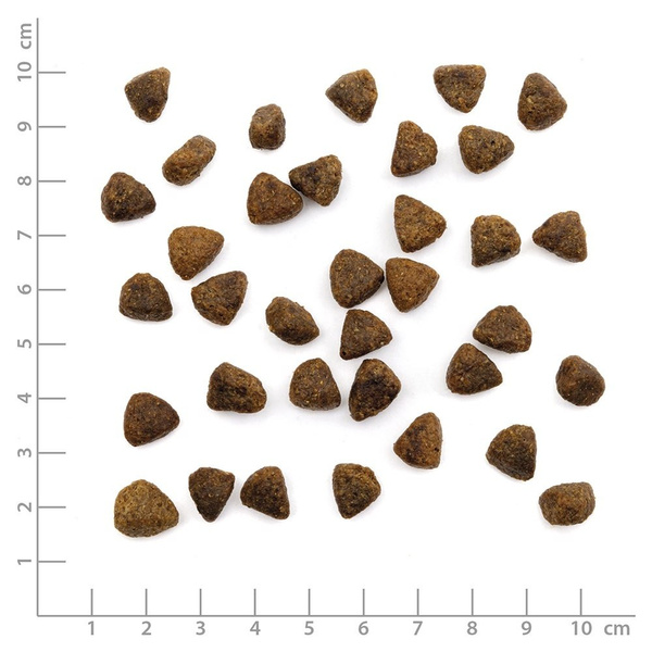 WILDES LAND CAT Huhn sterilised - karma dla sterylizowanych kotów (1,2kg)
