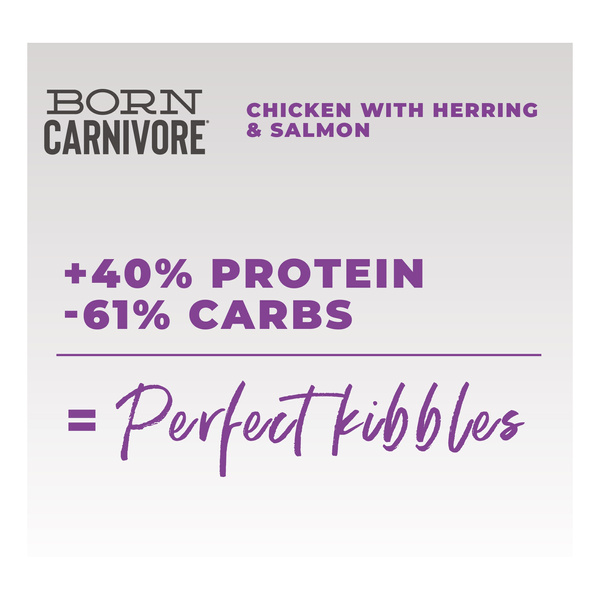 Schesir Born Carnivore karma sucha dla kotów kurczak i śledź 255 g