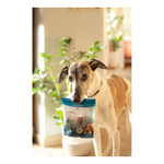 FRANCODEX Przysmak dla psa antystresowy, z kurczakiem, wyciąg z melisy 75 g