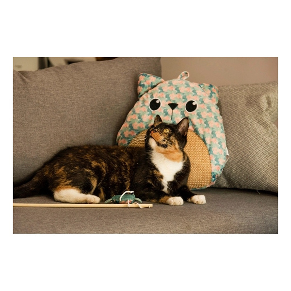 ZOLUX Zabawka dla kota drapka, liście ETHICAT 41 cm