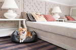 amiplay Legowisko Sofa dla Psa ZipClean 4in1 Kent M Czarny