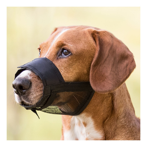 Trixie KAGANIEC nylonowy z SIATKĄ  dla Psa L-XL