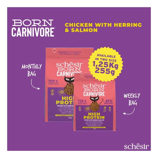 Schesir Born Carnivore karma sucha dla kotów kurczak i śledź 255 g